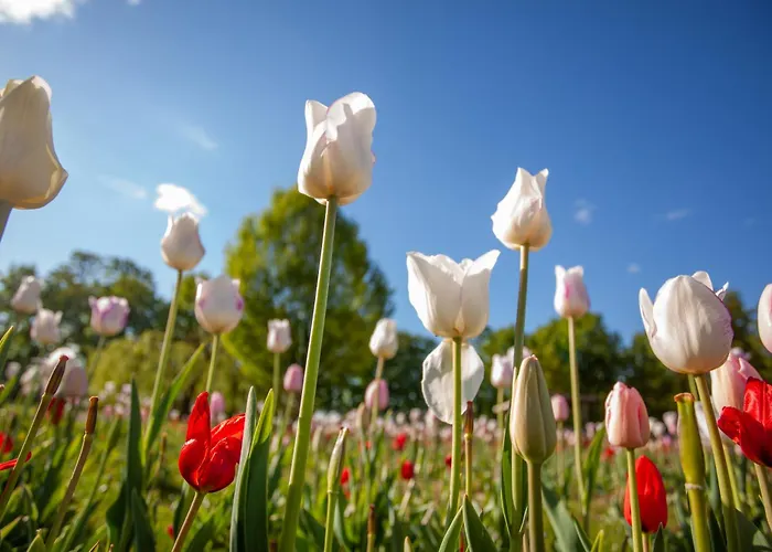 Retro House In Homestay *