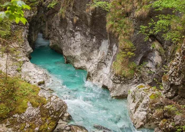 Homestay Retro House In