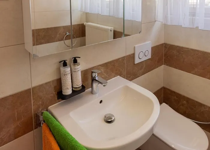 Homestay Retro House In Kamnik